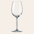 Champagne Glass 350ml