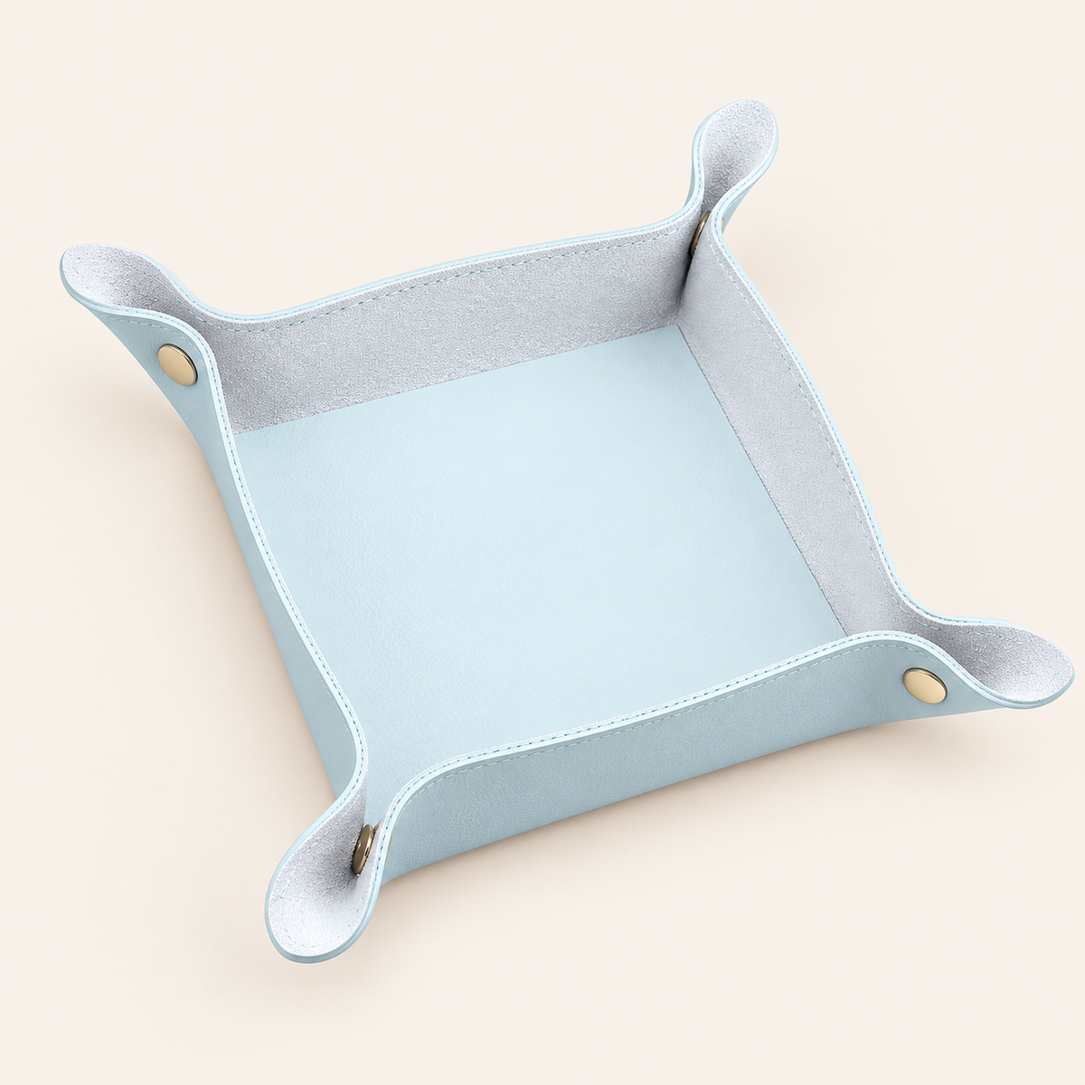Leather Desk Tray