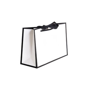 Premium White Paper Bag with Free Print Name