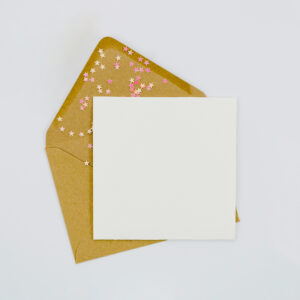 Plain Card with Brown Envelope